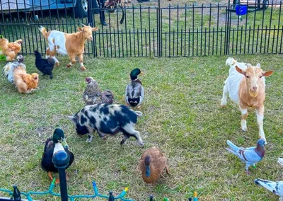 Winter Wonderland 2024